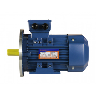 Электродвигатель 5АИ 80B8 (0,55 кВт) IM 2081