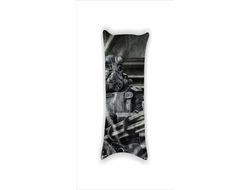 Дакимакура Fallout, Фоллаут №10