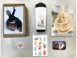 Бокс год Кролика №7