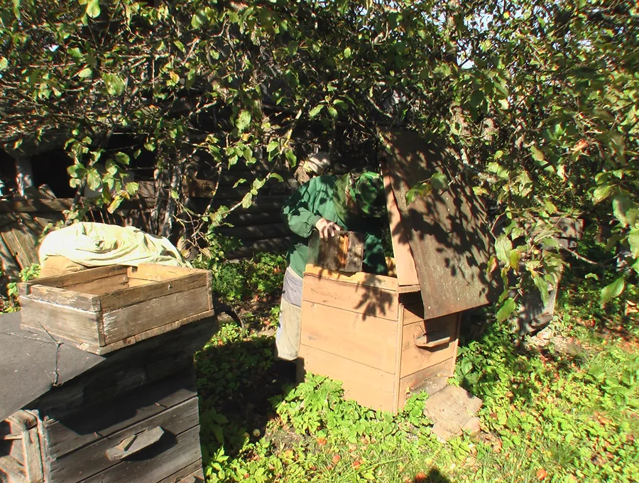 Подготовка к зиме