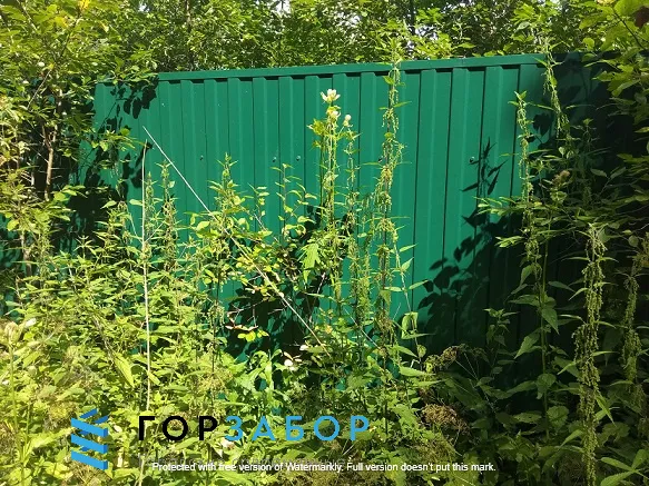 Забор из профнастила Грандлайн для дачи