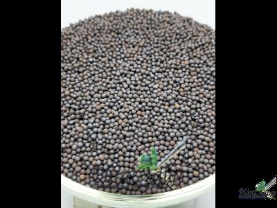 Грунт "Голландский" для аквариумных растений, 3 л