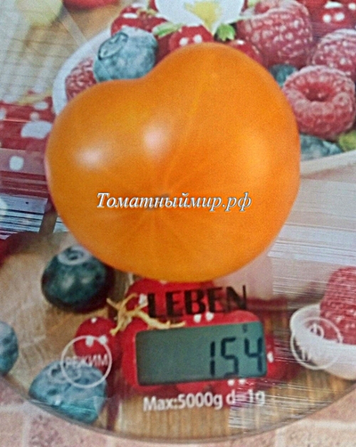 Томат Азочка (Azoychka)