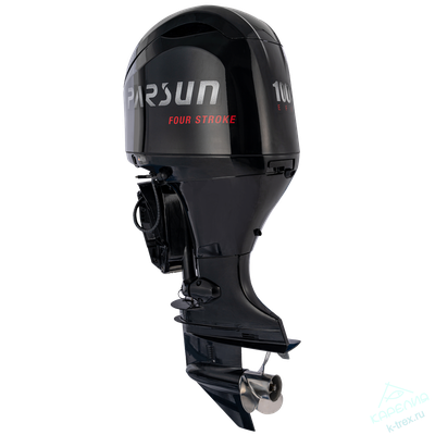 Лодочный мотор Parsun F100FEL-T-EFI Черный