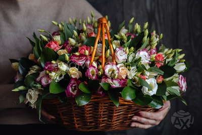 Композиция 17