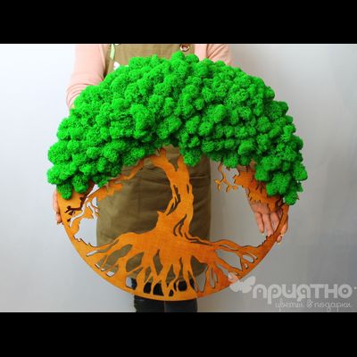 ЖИВАЯ ЭКО-КАРТИНА 1022