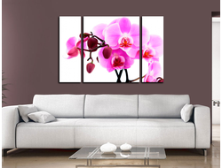 Модульная картина "Изящно. Орхидея"