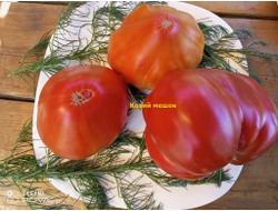 Томат  Козий мешок (Goat Bag, Козья сумка) США