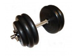 Гантель разборная 27,5 кг TITAN Barbell