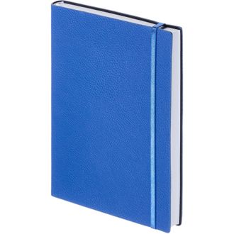 Ежедневник недатированный Prime, А5, 160л (синий)