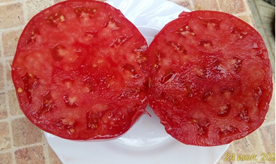 Томат Тидвелл немецкий (Tidwell German)