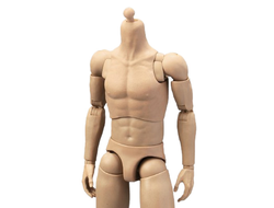 Тело с шеей, кистями и стопами - Male body (AL100045) - Alert Line