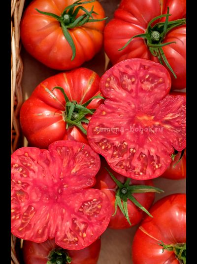 Томат Arnaldo (Арналдо), 10 шт