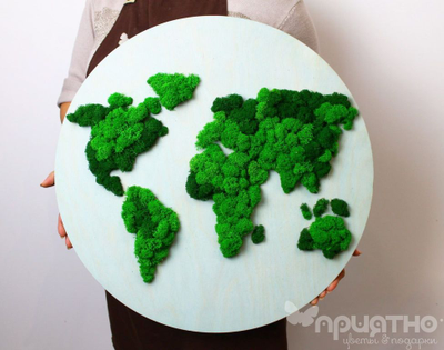 ЖИВАЯ ЭКО-КАРТИНА 1041