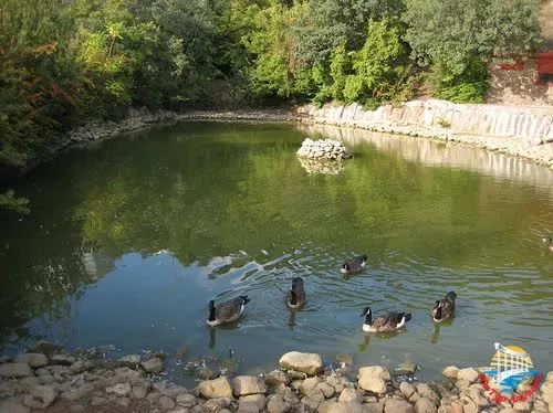 Дендропарк в Алуште