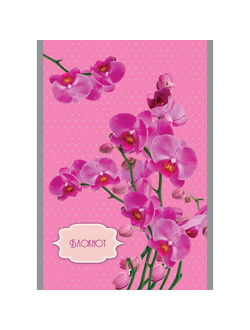 Блокнот в клетку Апплика, А5, 32 листа (орхидеи на розовом)