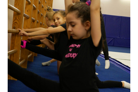 Художественная гимнастика