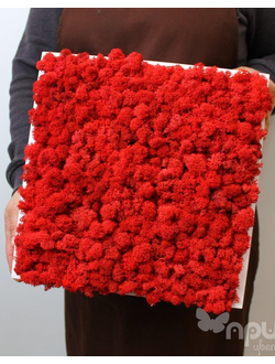 Живая Эко-Картина 1077