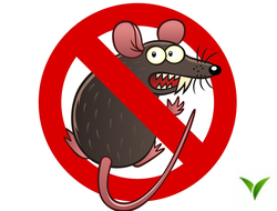 Родентициды