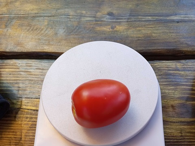 Томат Аргентинская сливка