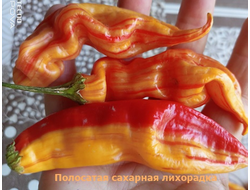 Перец острый Полосатая сахарная лихорадка (Sugar Rush Stripely)