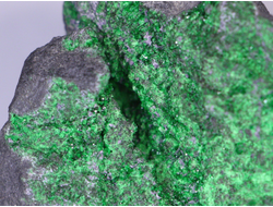 Уваровит кристаллы на породе, Урал (112*68*65 мм, 873 г) №17358