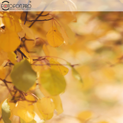 Фотофон 3D пазловый «Жёлтые листья»