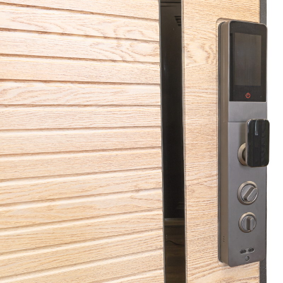 Стальная дверь   Antro. Заказная модель.