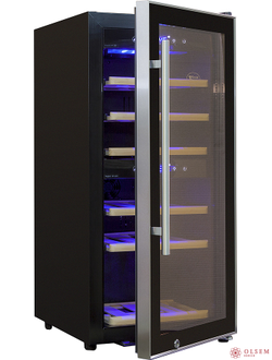 Винный шкаф Cold Vine C24-KBF2