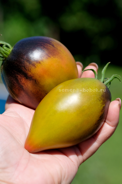 Томат Сладкое Трюфельное Сердце