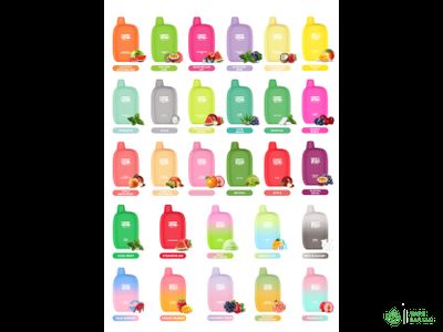 Одноразовая электронная сигарета Flum Pebble 6000 затяжек (подзаряжаемая)