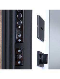 Стальная дверь   Plata с зеркалом (биометрический замок Smart lock Y23)