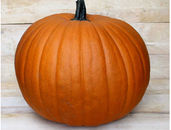 СТОФУНТОВАЯ