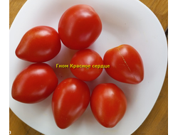 Томат Гном Красное сердце, (Dwarf Red Heart)