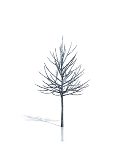 Billboards Дерево зимнее_04