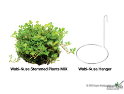 Chihiros Wabi-Kusa Hanger - набор держателей для Ваби-куса или горшков (3шт)