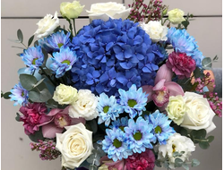 Коробка с гортензией "Морской бриз"