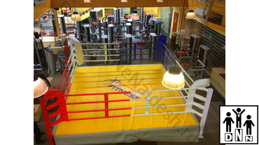 боксерский ринг 4 4