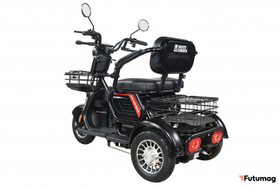Пассажирский трицикл WHITE SIBERIA SIBTRIKE 2000W