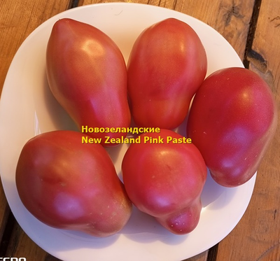 Томат Новозеландский розовый (New Zealand Pink Paste)