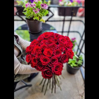 Роза Эквадор 90 см 35 шт