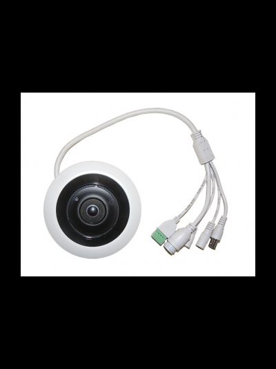 CO-RF51P уличная панорамная IP видеокамера с объективом рыбий глаз (Fisheye), встроенный микрофон и DVR, Full HD  5Мп (RXCamview)