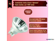Osram Decopin 60040 FL 40w 230v 40° G9