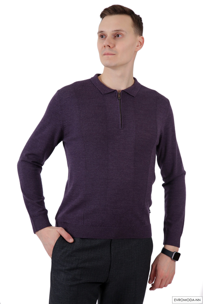 Пуловер мужской DIGEL 1248006/61