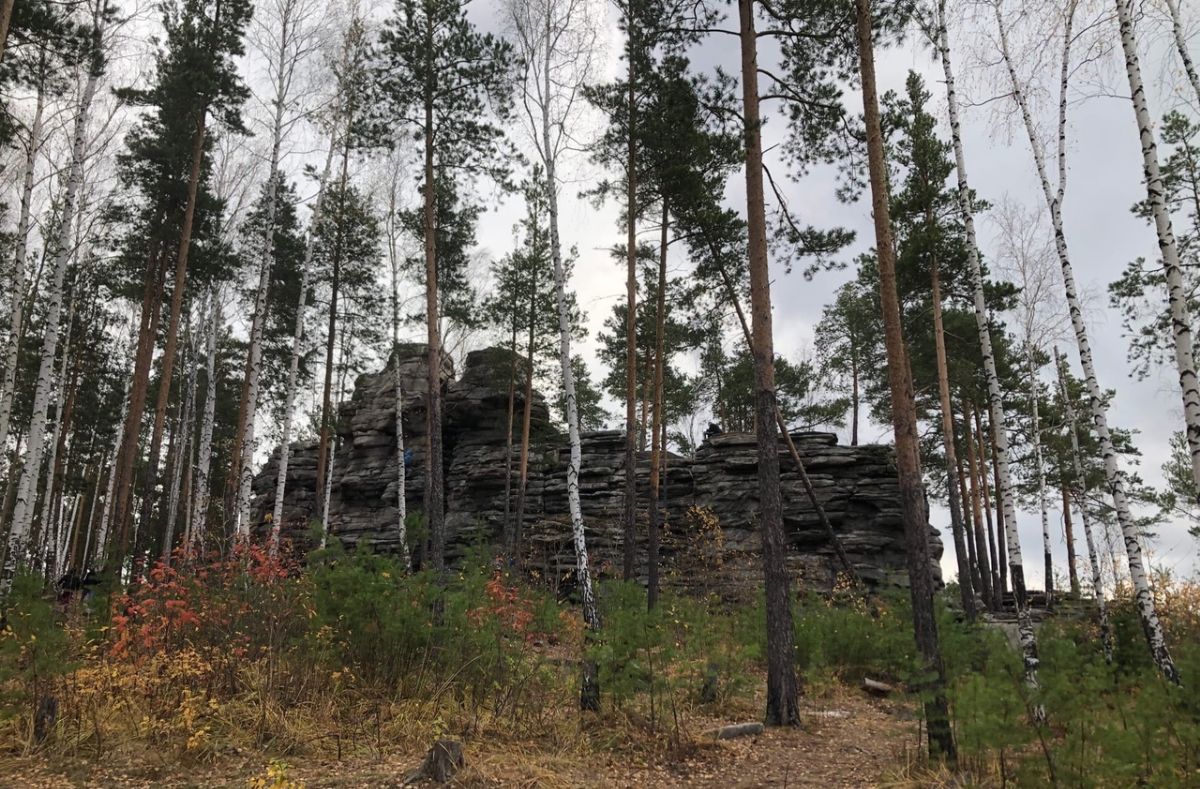 Лукоморье - Частная школа, летний лагерь, детский сад в Екатеринбурге!