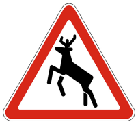 1.27 Дикие животные