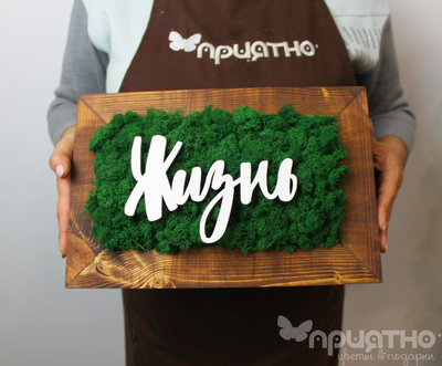 ЖИВАЯ ЭКО-КАРТИНА 1045