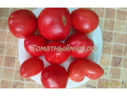 Бычье сердце раннеспелое от Умриловой