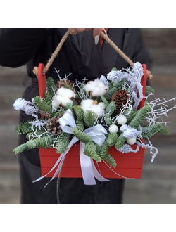 Новогодняя композиция с хлопком и нобилисом