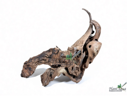 SwetAqua Chinese Sunken EXCLUSIVE 8035 (500x150x330 мм) - Натуральная коряга "Китайская затонувшая" EXCLUSIVE